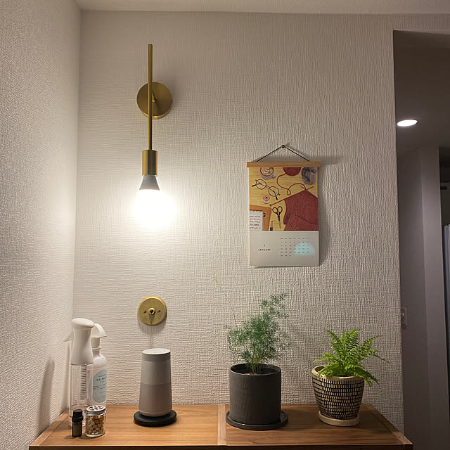 棚/観葉植物/無印良品/ナチュラル/照明のインテリア実例 - 2023-10-14 00:25:37
