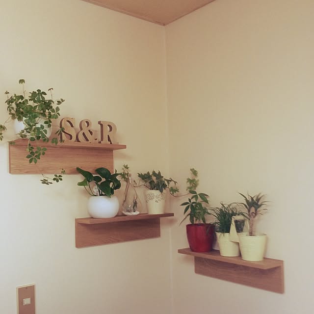 saroさんの実例写真