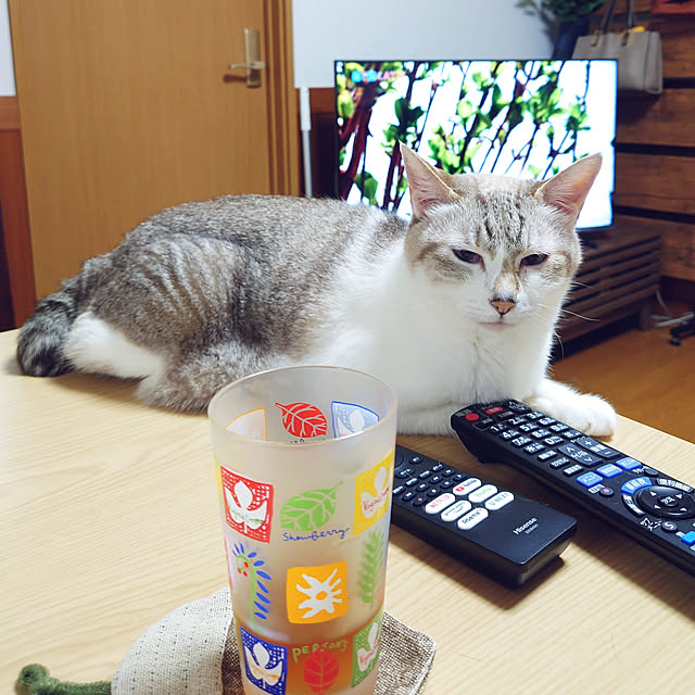 nachiさんの実例写真