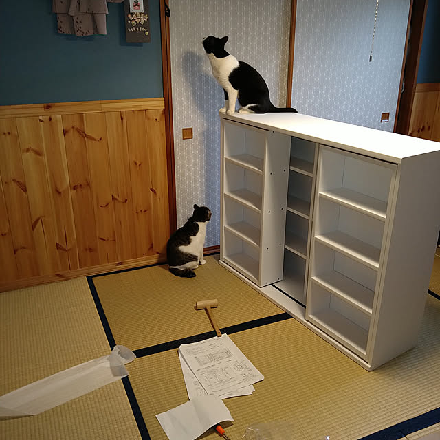 okyosan101さんの実例写真