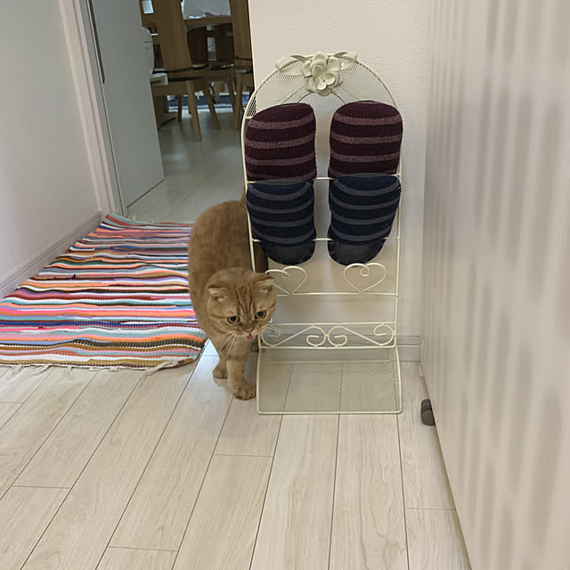 Mamaさんの実例写真