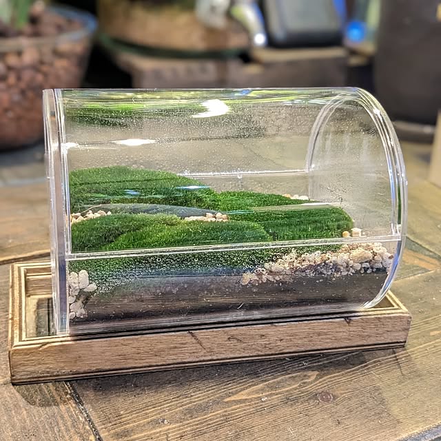 GINさんの部屋