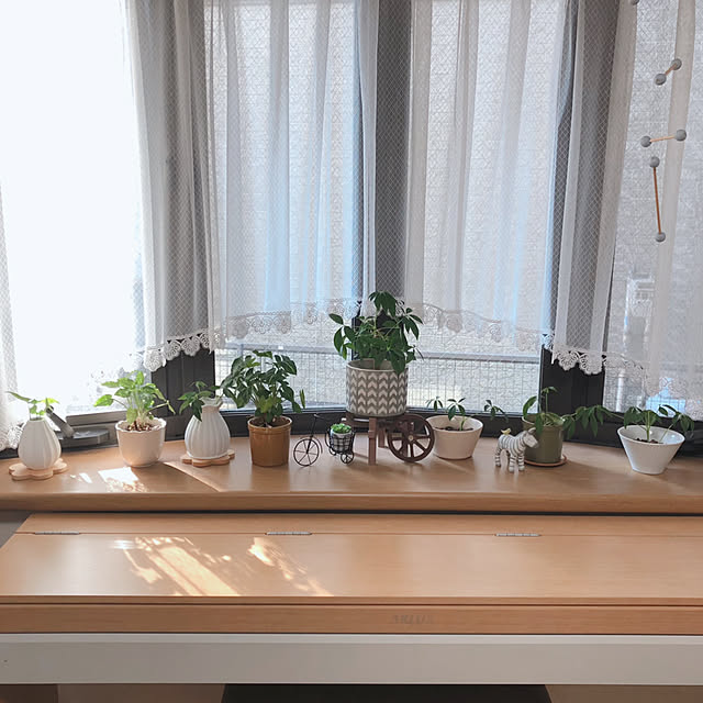 katoponさんの部屋