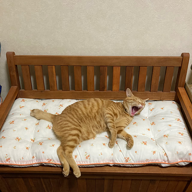 kirakirahoshiさんの実例写真