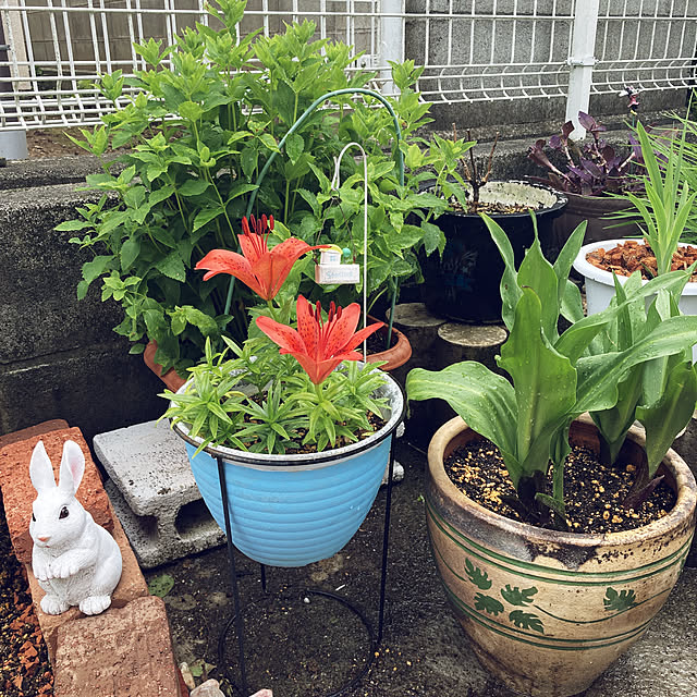 CoCo0617さんの実例写真
