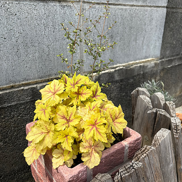 ukoさんの部屋