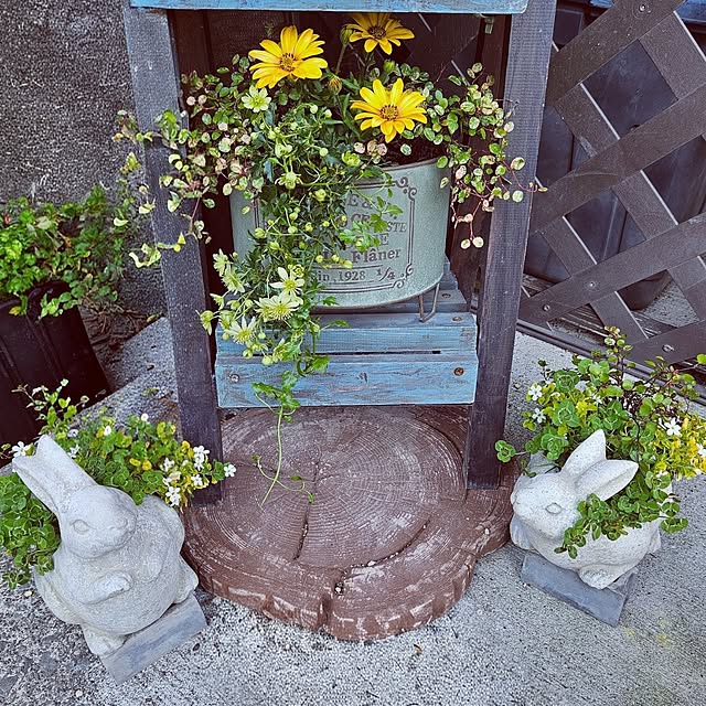 mocomocoさんの部屋