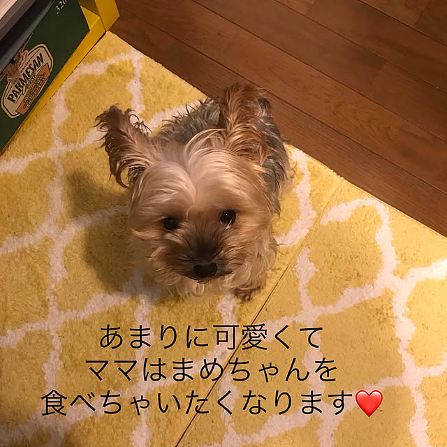 kimucciさんの実例写真