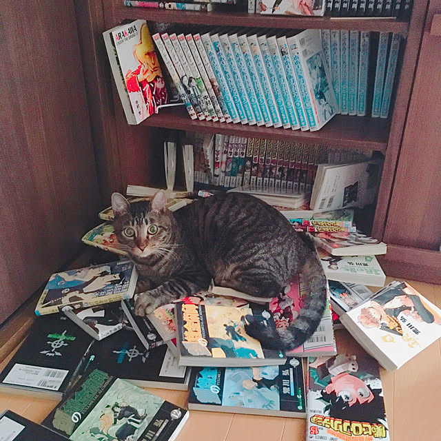anさんの実例写真