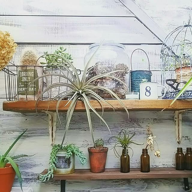 mai.tameさんの実例写真