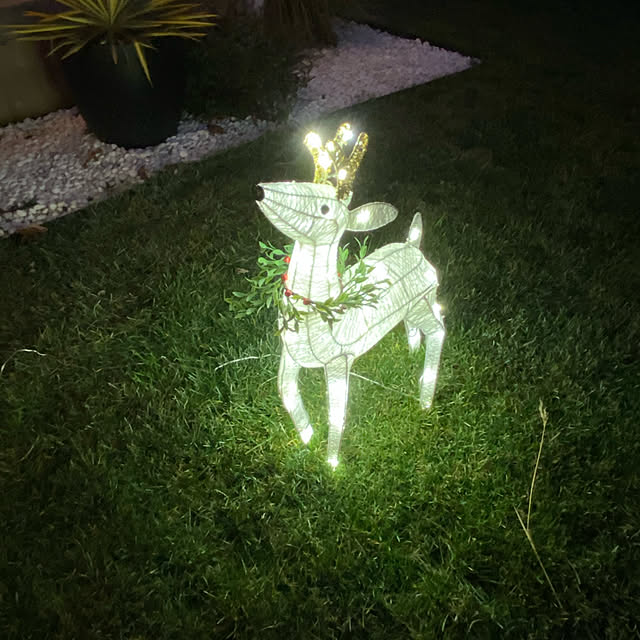 iroiro_sunさんの実例写真