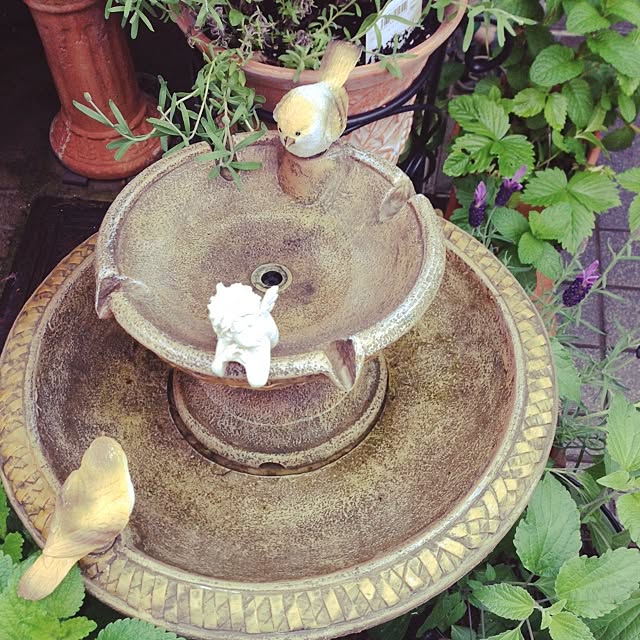 lavender_roseさんの実例写真