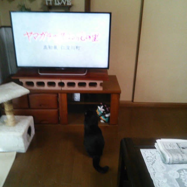 Tomopさんの実例写真