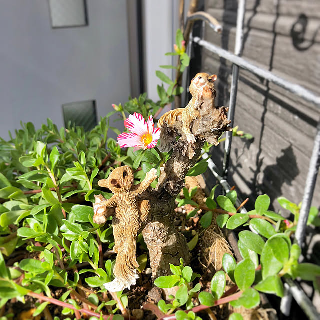 suzyさんの実例写真