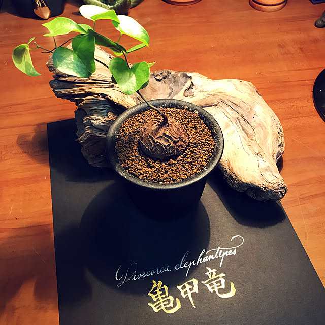 masu...さんの実例写真