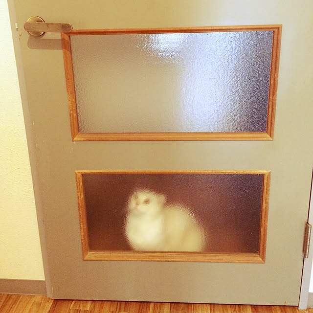 XX8723xxさんの実例写真