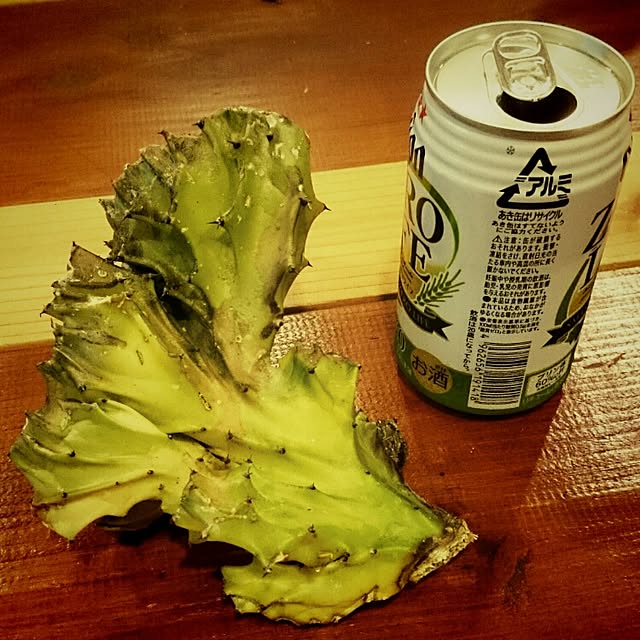 tokeさんの実例写真