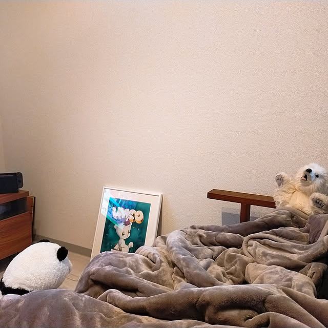 sinsinさんの実例写真