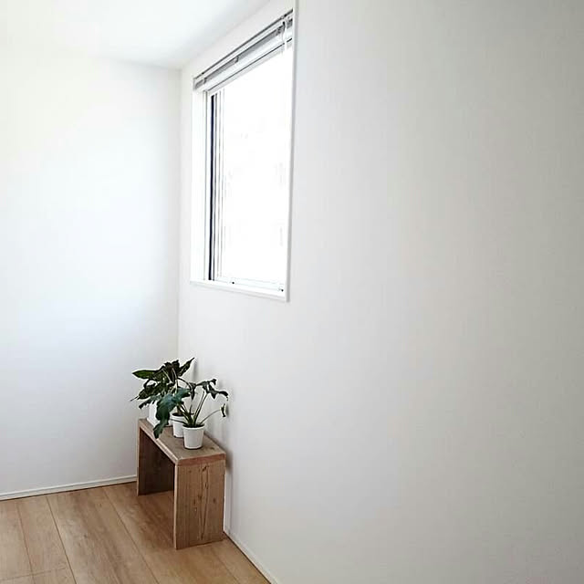 壁/天井/シンプルな暮らし/観葉植物/緑のある暮らし/2階廊下...などのインテリア実例 - 2018-04-09 22:43:22