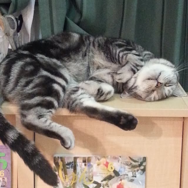 the.reformさんの実例写真
