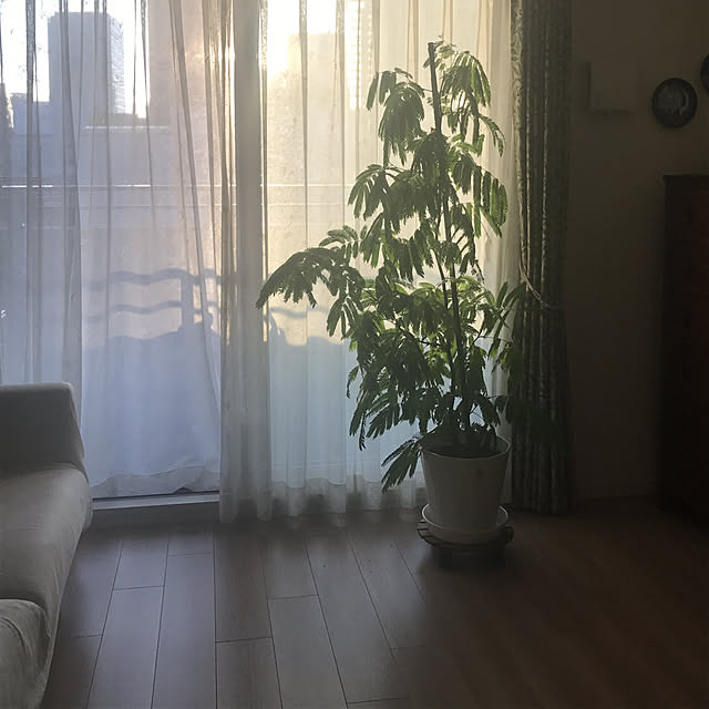 knd0316さんの実例写真