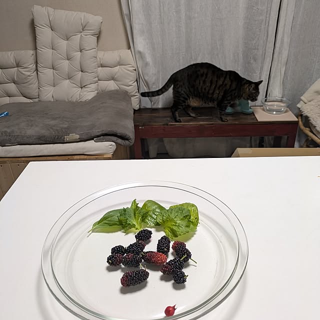 mori_6_12さんの部屋