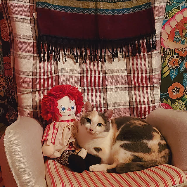kumutanさんの実例写真