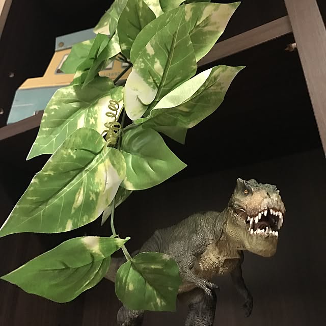 Kikuyusさんの実例写真