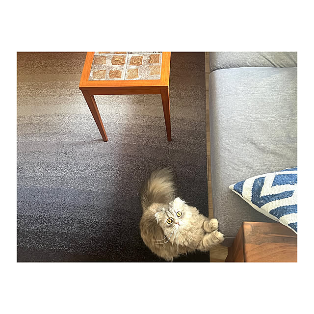 gfさんの実例写真