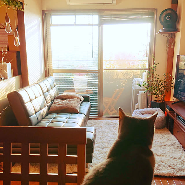 chondyさんの実例写真