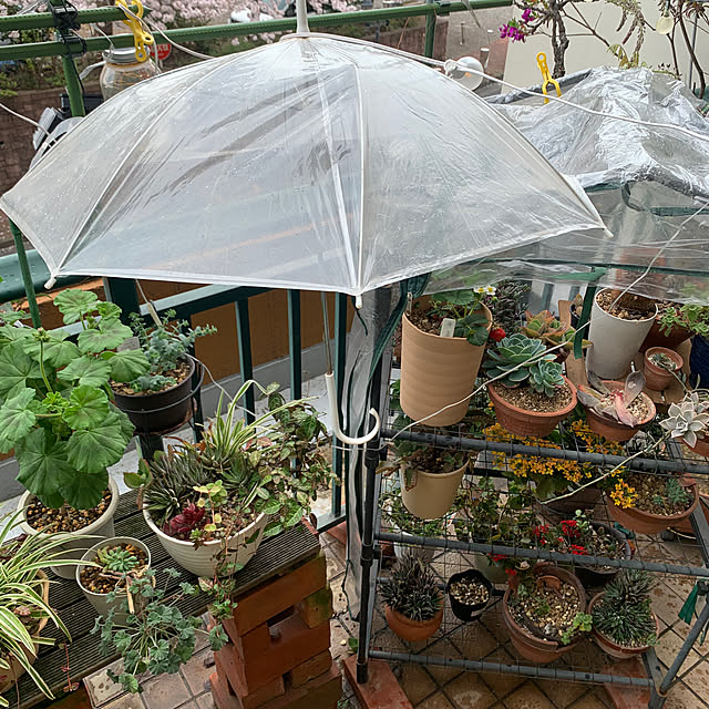 Aqettyさんの部屋