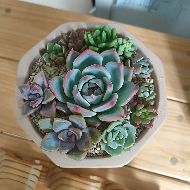 cocomintさんの実例写真