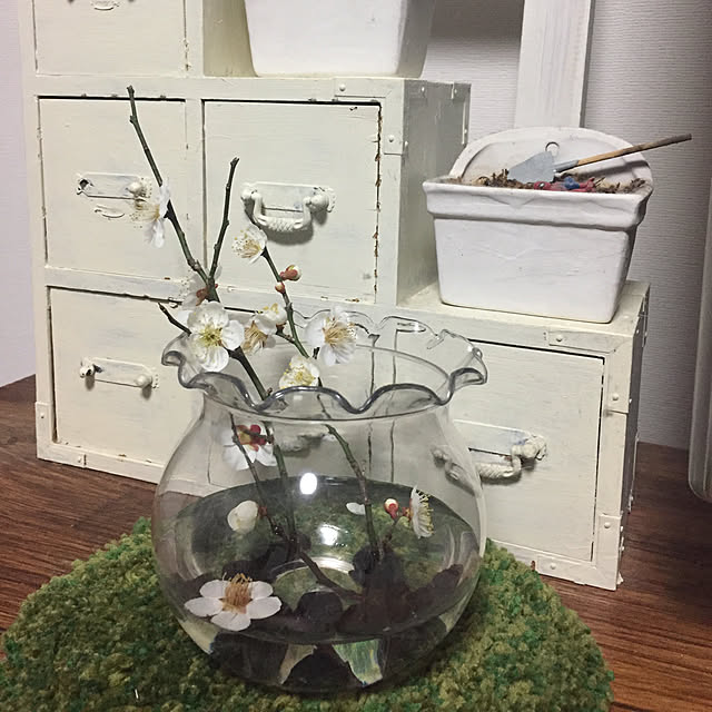 aranさんの実例写真