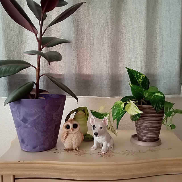 moruさんの実例写真