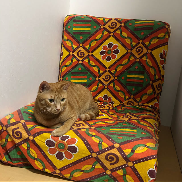 necomameさんの実例写真