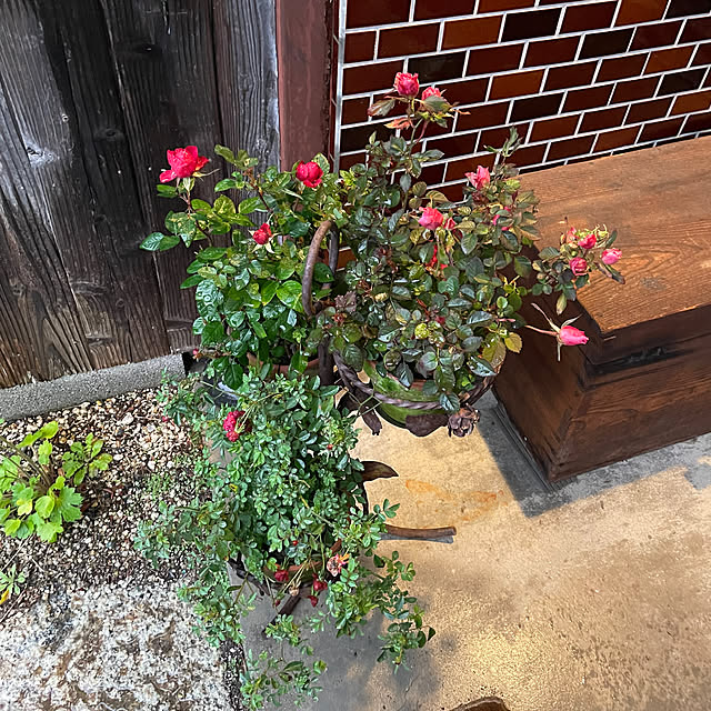 shin0719さんの部屋