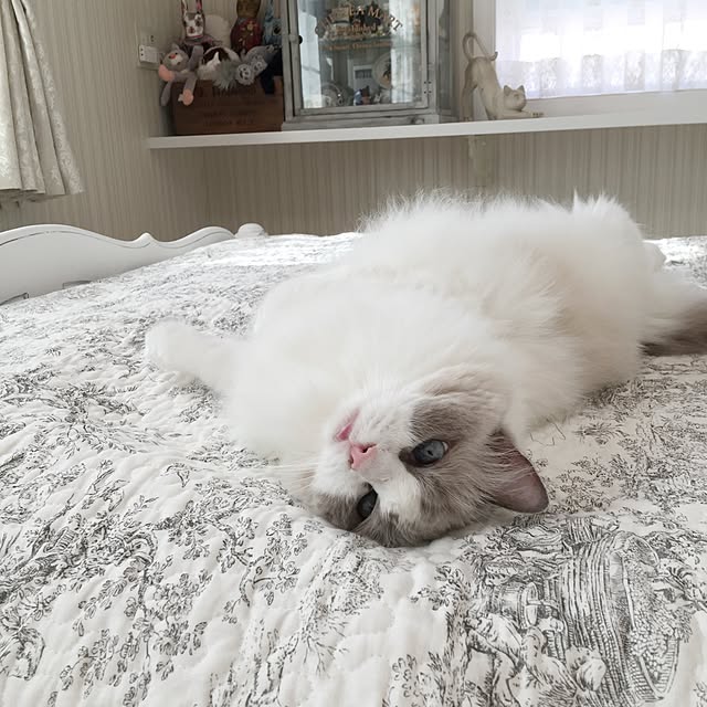 yuchiさんの実例写真
