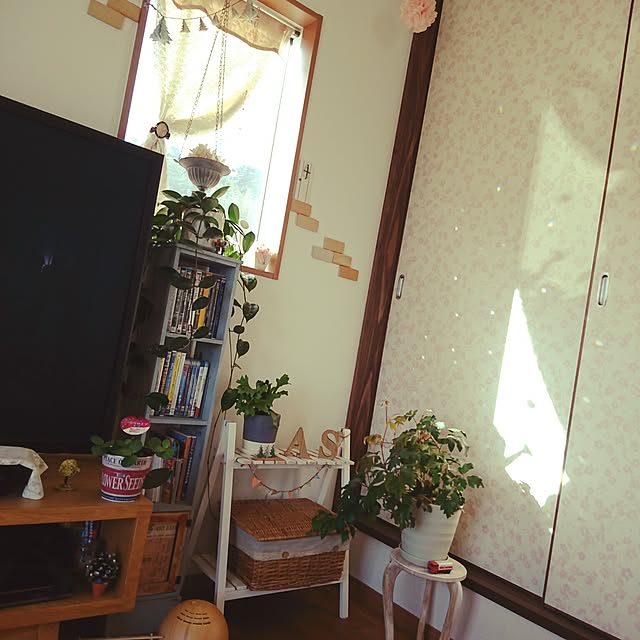 akiさんの実例写真