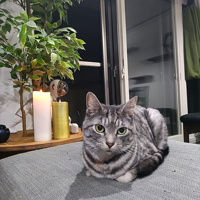 dsimbaさんの実例写真