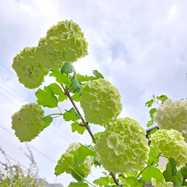 min_nimさんの部屋