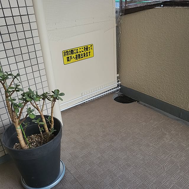momoさんの実例写真