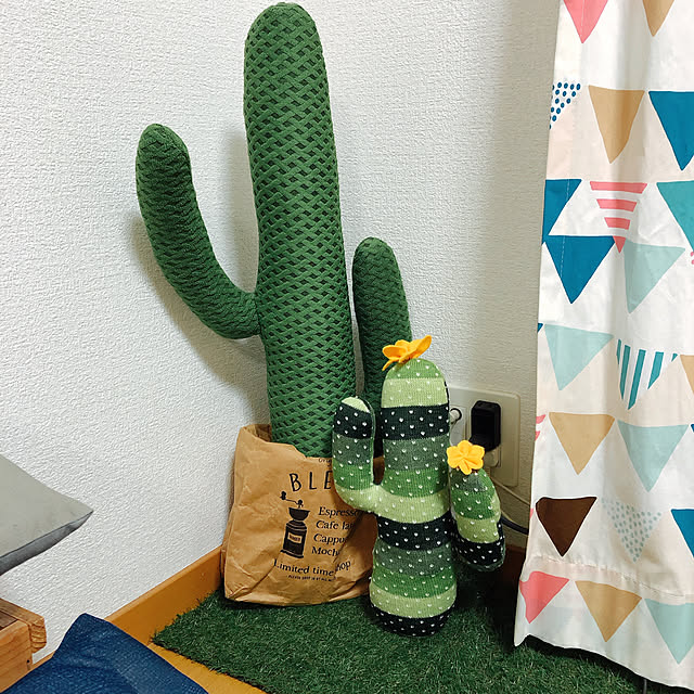 pecoさんの実例写真