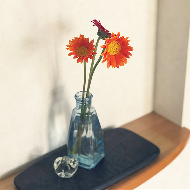 teraさんの実例写真
