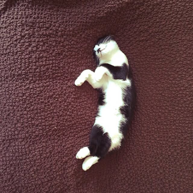 mi.miさんの実例写真