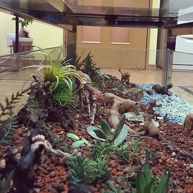 sadaさんの実例写真