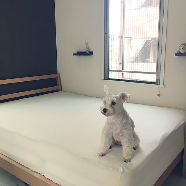 suzyさんの実例写真