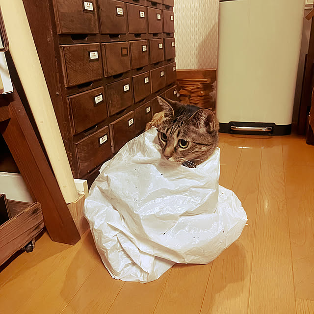 Mさんの部屋
