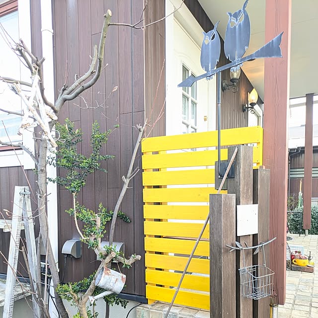 Miponappoさんの実例写真