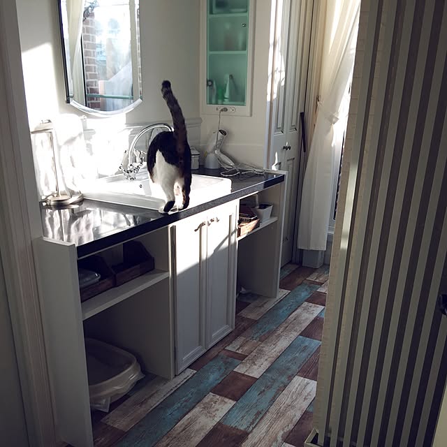 yuchiさんの実例写真