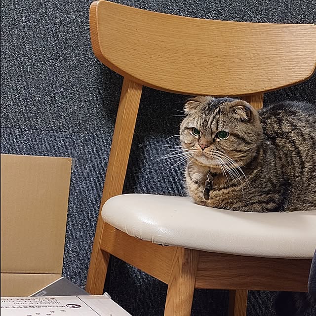 noguriさんの部屋